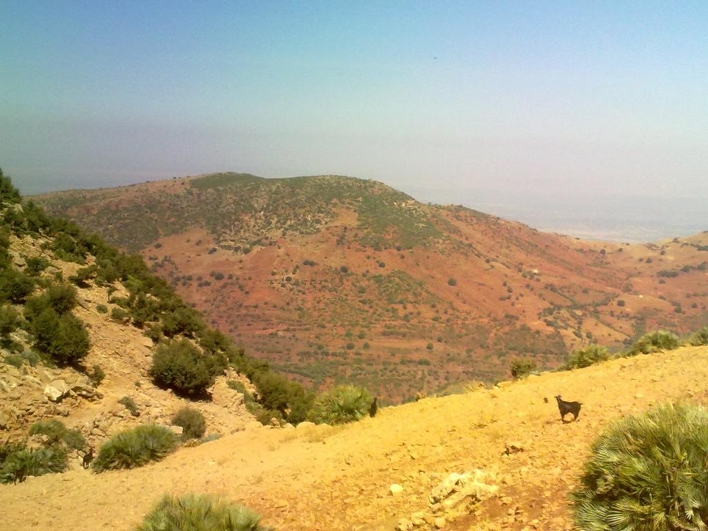 Maison D'Hotes Ait Bou Izryane Timoulilt ภายนอก รูปภาพ